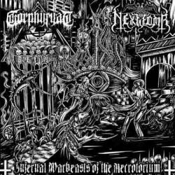 Nexwomb : Infernal Warbeasts of the Necrotorium